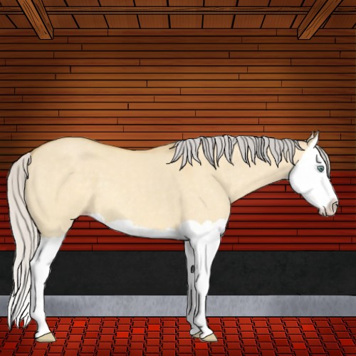 Horse Color:Silver Amber Cream Champagne Dun Splash 