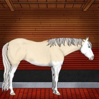 Horse Color:Silver Amber Cream Champagne Dun Splash 