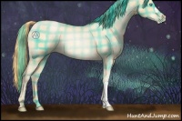 Horse Color:Plaid  Buckskin Pearl 