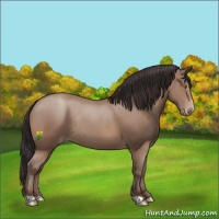 Horse Color:Sable Champagne Rabicano 