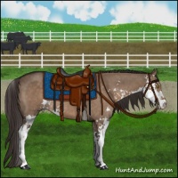 Horse Color:Liver Red Dun Sabino