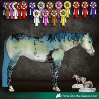 Horse Color:Void Watercolor Buckskin Onyx Tobiano 