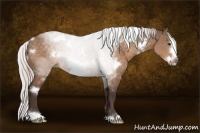 Horse Color:White Spotted Silver Brown Dun Frame Rabicano 