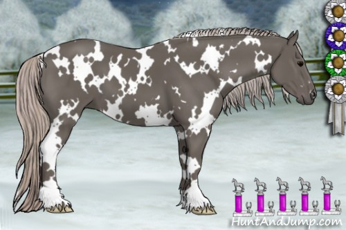 Horse Color:White Spotted Silver Black 