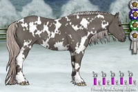 Horse Color:White Spotted Silver Black 