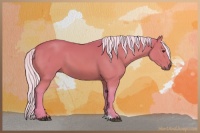 Horse Color:Watercolor Silver Bay Sabino 