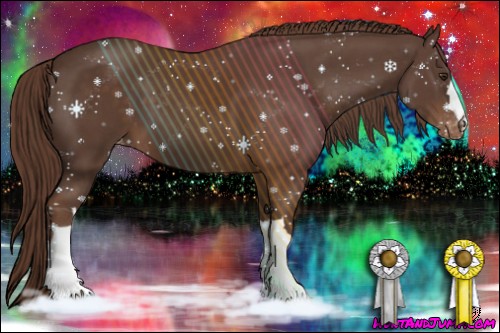 Horse Color:Liver Chestnut Appaloosa 