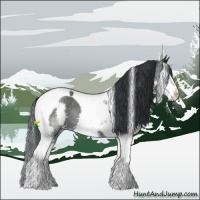 Horse Color:Black Chinchilla Splash Tobiano Rabicano 