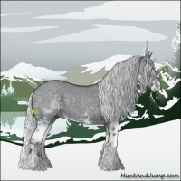 Horse Color:Silver Grullo Chinchilla Splash 