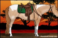 Horse Color:Bay Pearl Tobiano Varnish 