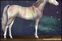 Horse Color:Nacre Silver Brown Onyx 