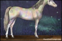 Horse Color:Nacre Silver Brown Onyx 