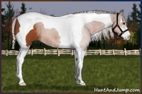 Horse Color:Silver Bay Sabino Tobiano