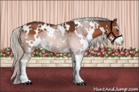 Horse Color:White Spotted Silver Brown Sabino 