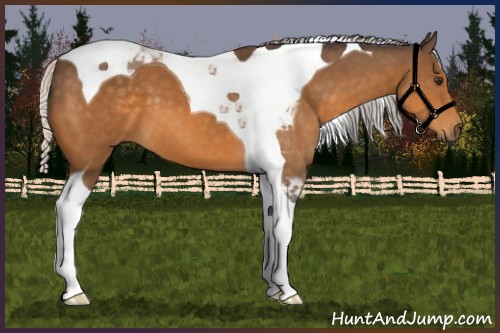 Horse Color:Silver Buckskin Tobiano