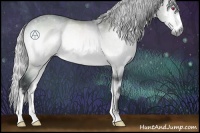 Horse Color:Silver Brown Chinchilla Onyx 
