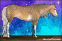 Horse Color:White Spotted Silver Buckskin Dun 