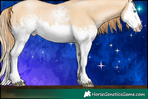 Horse Color:White Spotted Buckskin Pearl Splash 