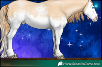 Horse Color:White Spotted Buckskin Pearl Splash