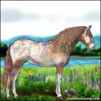Horse Color:Nacre Red Onyx Ice 
