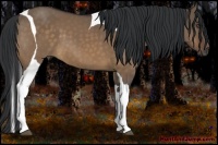 Horse Color:Bay Dun Tobiano 