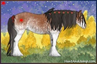 Horse Color:White Spotted Bay Splash  and White Spotted Bay Splash 