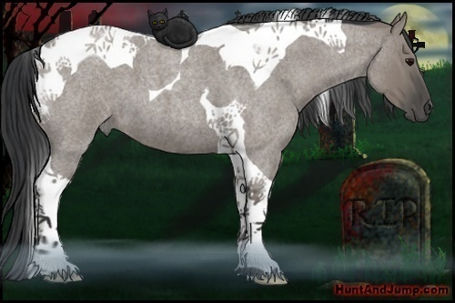 Horse Color:Grullo Roan Tobiano 