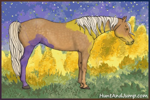 Horse Color:Palomino Roan 