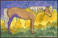 Horse Color:Palomino Roan 