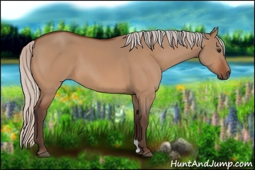 Horse Color:Silver Bay Dun 