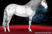 Horse Color:Silver Brown Chinchilla Ice Roan Onyx Rabicano 