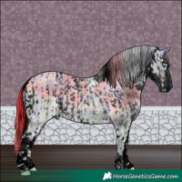 Horse Color:ERROR: UNKNOWN ANOMALY and ERROR: UNKNOWN ANOMALY
