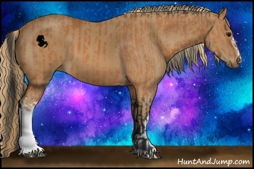 Horse Color:Bay  and Chestnut 