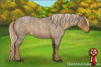 Horse Color:Chocolate Palomino Roan 