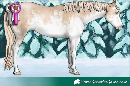 Horse Color:White Spotted Chocolate Palomino Pearl Sabino