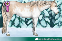 Horse Color:White Spotted Chocolate Palomino Pearl Sabino 