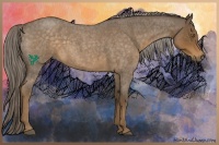 Horse Color:Chocolate Palomino Roan 