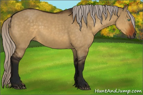 Horse Color:Gray Silver Buckskin Dun Rabicano 