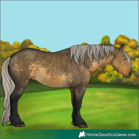 Horse Color:Gray Silver Buckskin Dun Rabicano