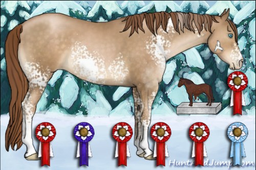 Horse Color:White Spotted Chocolate Smoky Black Pearl Sabino 