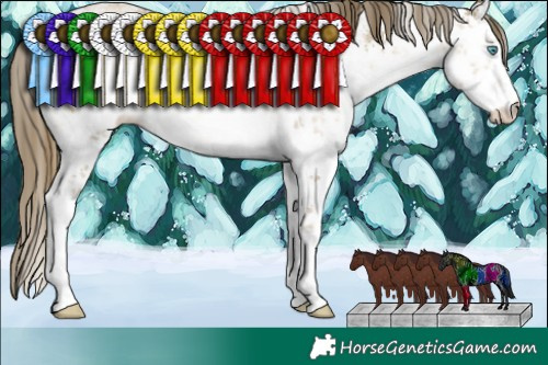 Horse Color:White Spotted Chocolate Smoky Black Pearl Sabino 