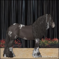 Horse Color:White Spotted Smoky Black Tobiano