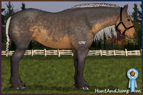 Horse Color:Silver Smoky Blue Roan 