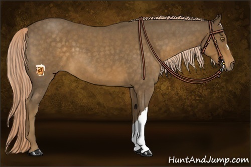 Horse Color:Chocolate Palomino Roan