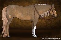 Horse Color:Chocolate Palomino Roan 