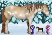 Horse Color:White Spotted Chocolate Smoky Black Pearl Sabino