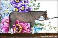 Horse Color:Liver Red Roan Sabino Splash