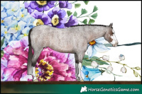 Horse Color:Liver Red Roan Sabino Splash 