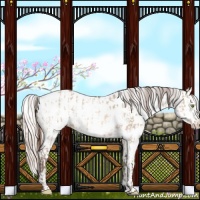 Horse Color:Amber Champagne Dun Near Leopard  and Silver Amber Champagne Dun Near Leopard 
