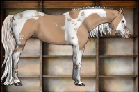 Horse Color:Silver Bay Dun Sabino Splash Tobiano